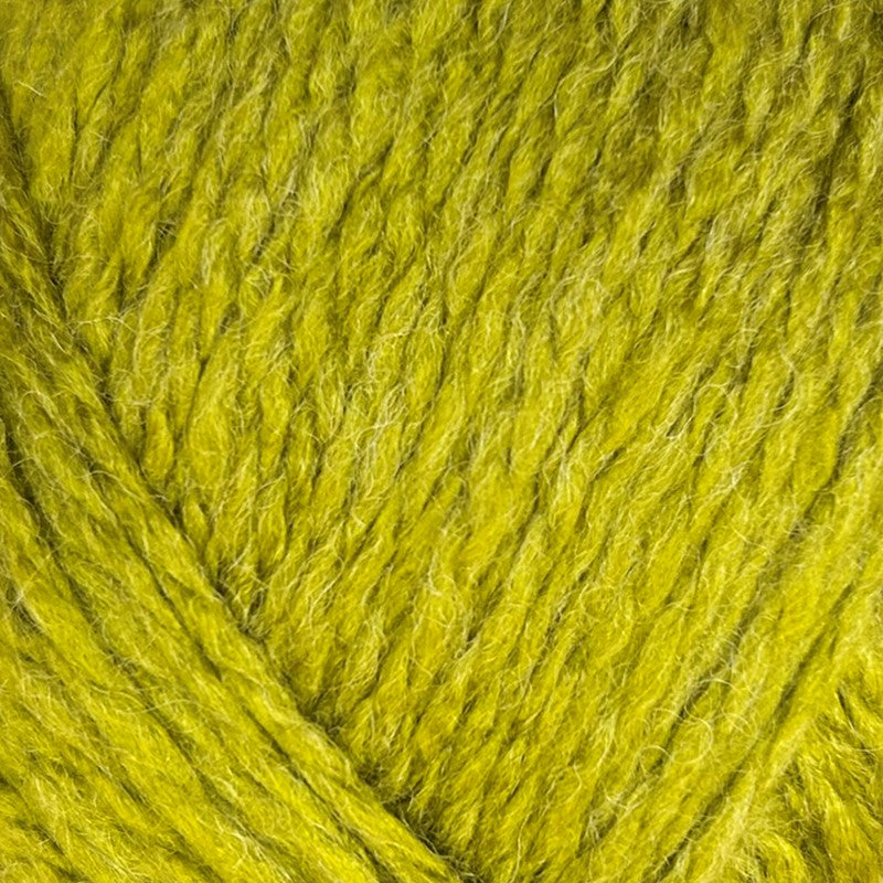 Stylecraft Special Aran with Wool in ReLove Aran - Pea Shoot — 75% Premium Acrylic, 25% Wool, Aran, 100g