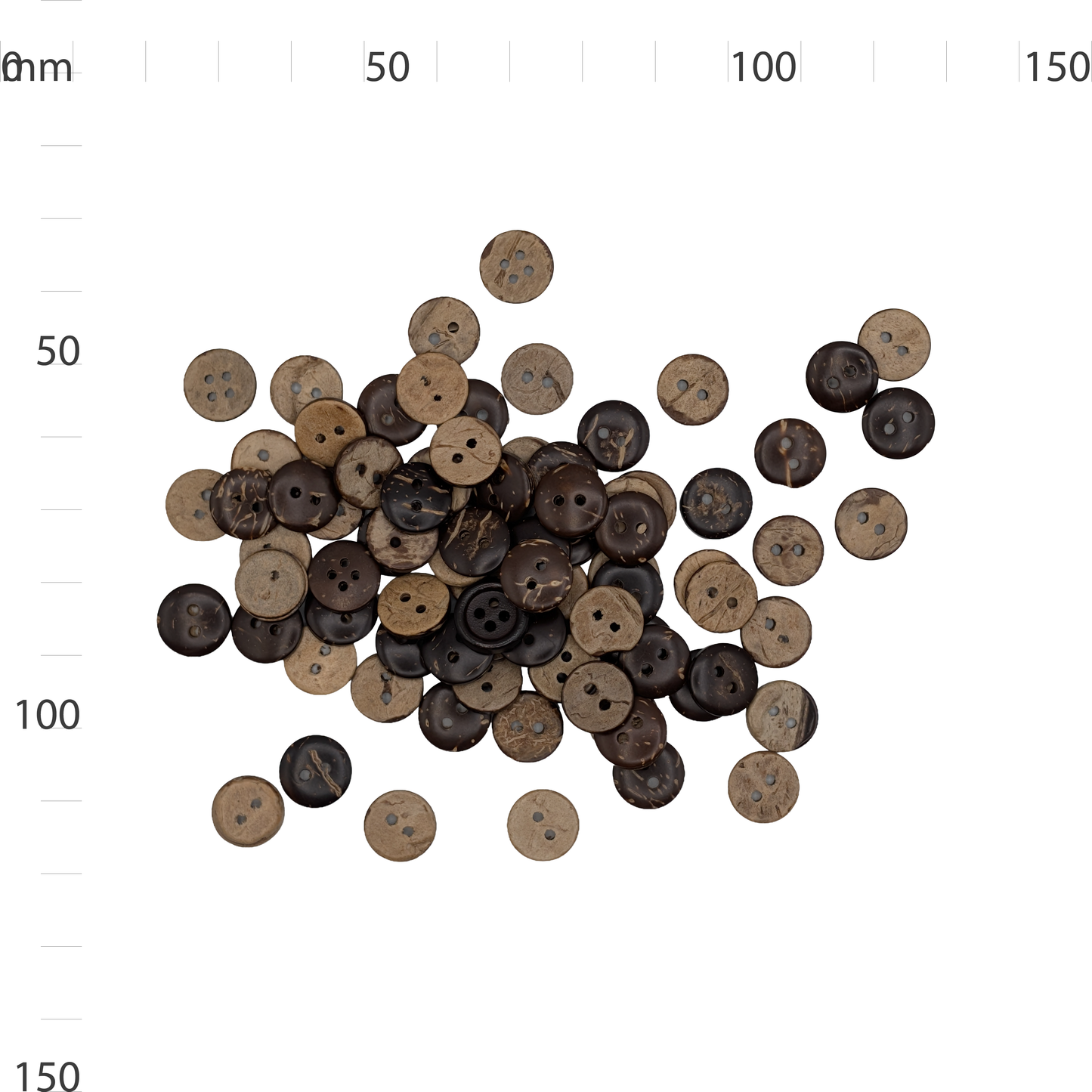 Coconut Shell Button