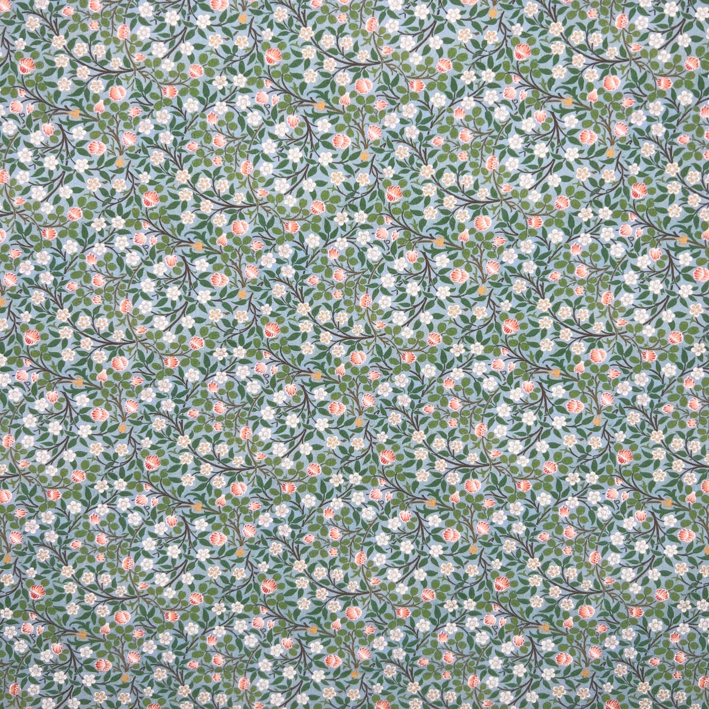 Clover (CPR008)