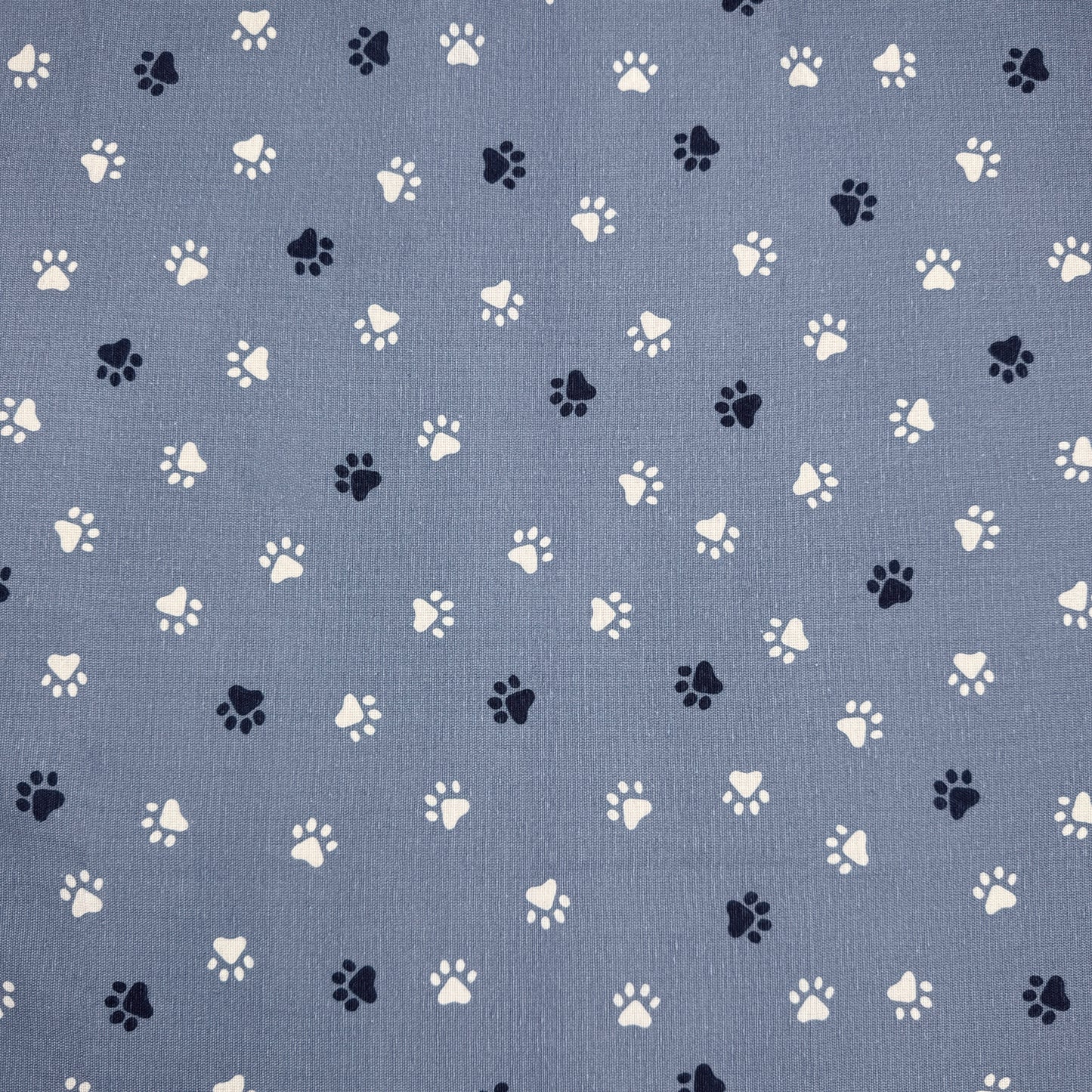 Crafty Canvas - Paw Print Blue (CRC011)
