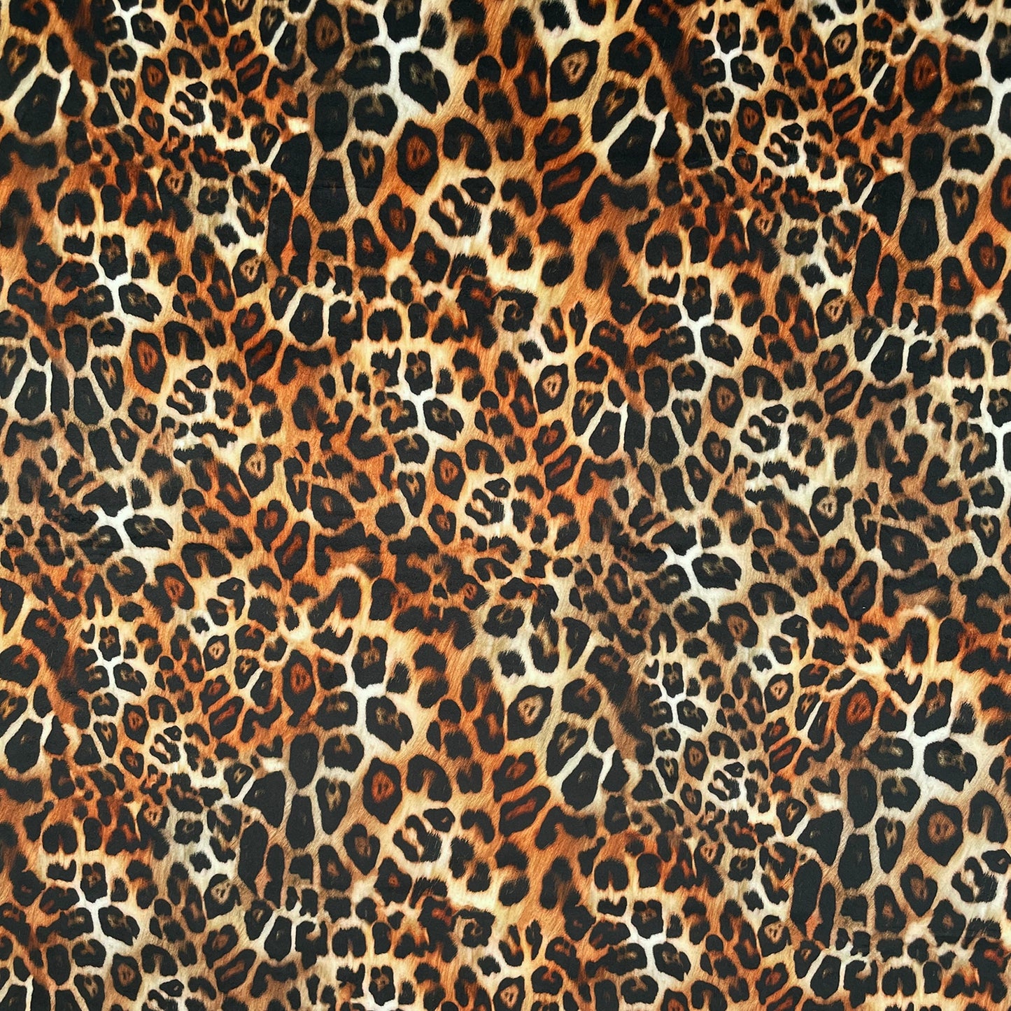 Kalahari (CVL025)