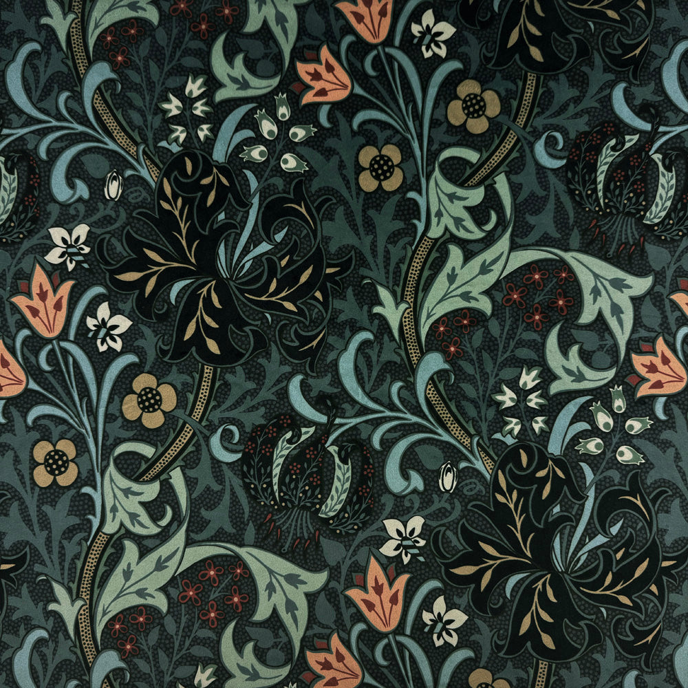 Golden Lily Ember (CVL088)