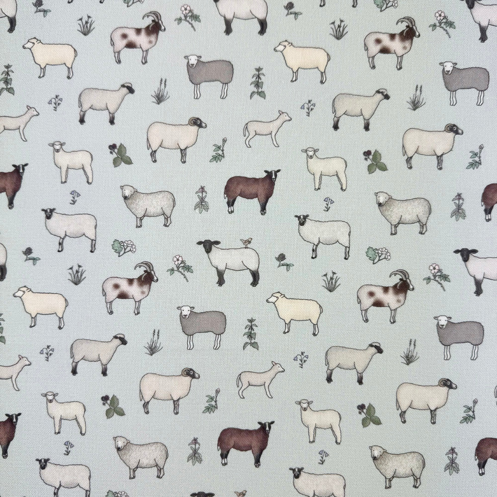 Wandering Wool Eggshell (ELD013)