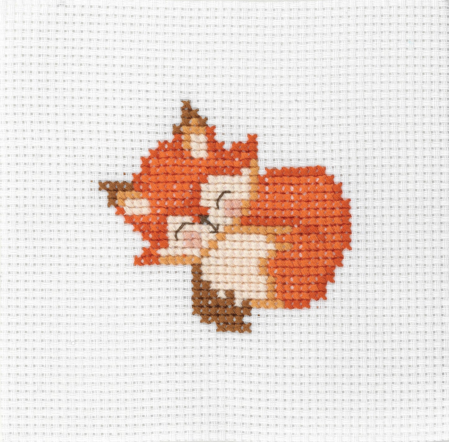Anchor 1st Kit, Cross Stitch, Fox