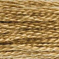 DMC Mouline Special 3045