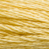 DMC Mouline Special 3822