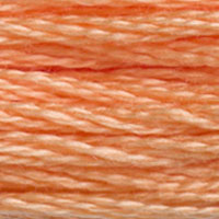 DMC Mouline Special 3825