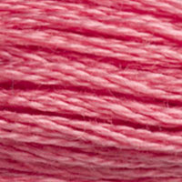 DMC Mouline Special 3833