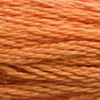 DMC Mouline Special 3853