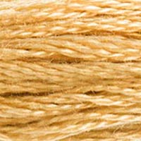 DMC Mouline Special 422