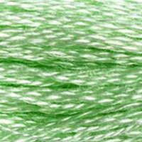 DMC Mouline Special 955