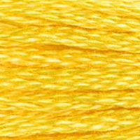 DMC Mouline Special 973