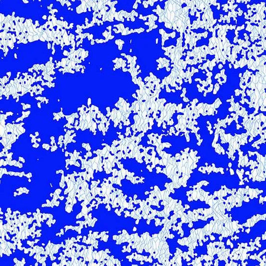 Andover Fabrics Amsterdam (1684/B1)