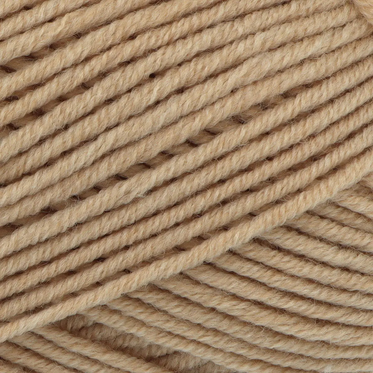 King Cole Little Lamb DK - Teasel