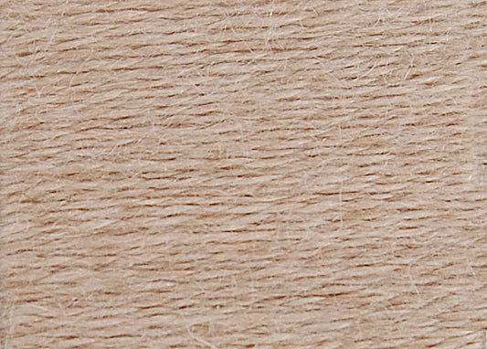 DMC Eco Vita Wool Thread - Fresh Walnut