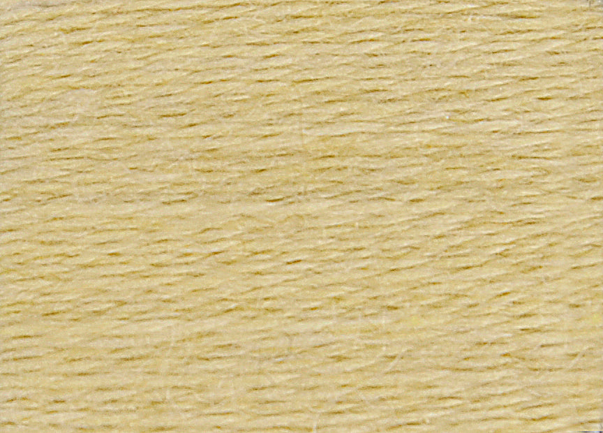 DMC Eco Vita Wool Thread - Creamy Woald