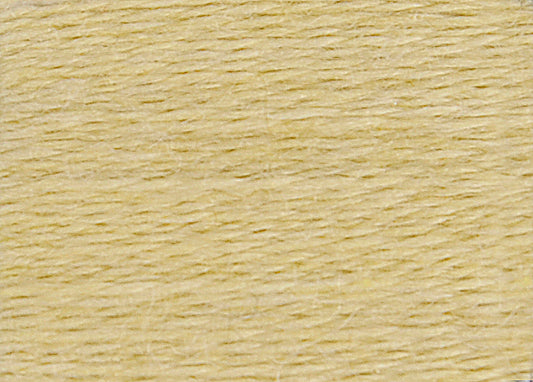 DMC Eco Vita Wool Thread - Creamy Woald