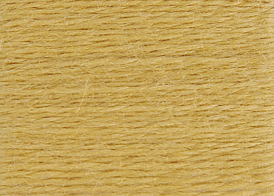 DMC Eco Vita Wool Thread - Vanilla Alder Buckthorn