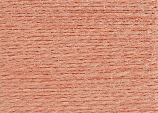 DMC Eco Vita Wool Thread - Lychee Madder