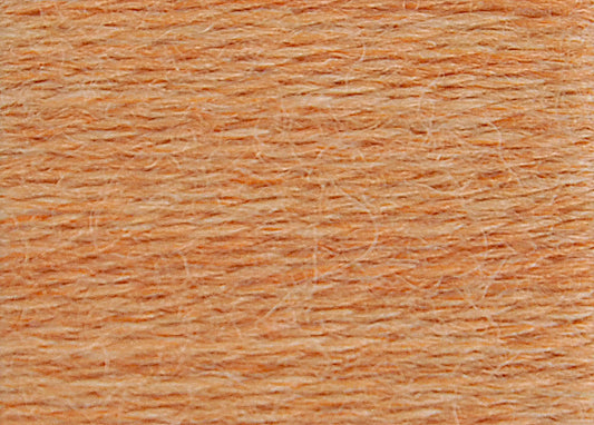 DMC Eco Vita Wool Thread - Pomelos Safflower