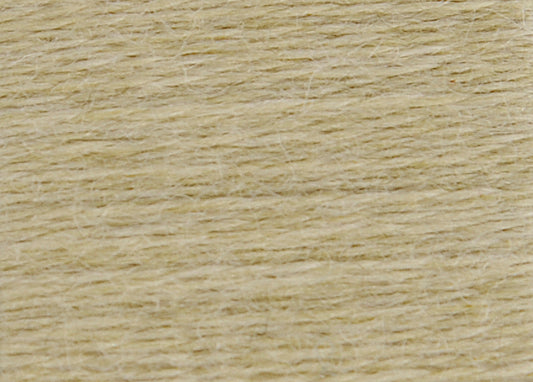 DMC Eco Vita Wool Thread - Soft Common Ivy