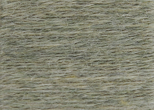 DMC Eco Vita Wool Thread - Lichen Woald