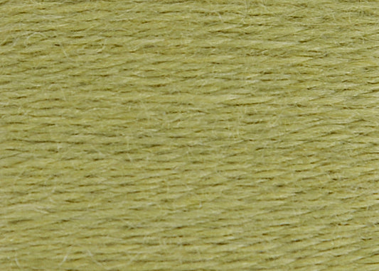 DMC Eco Vita Wool Thread - Lime Woald