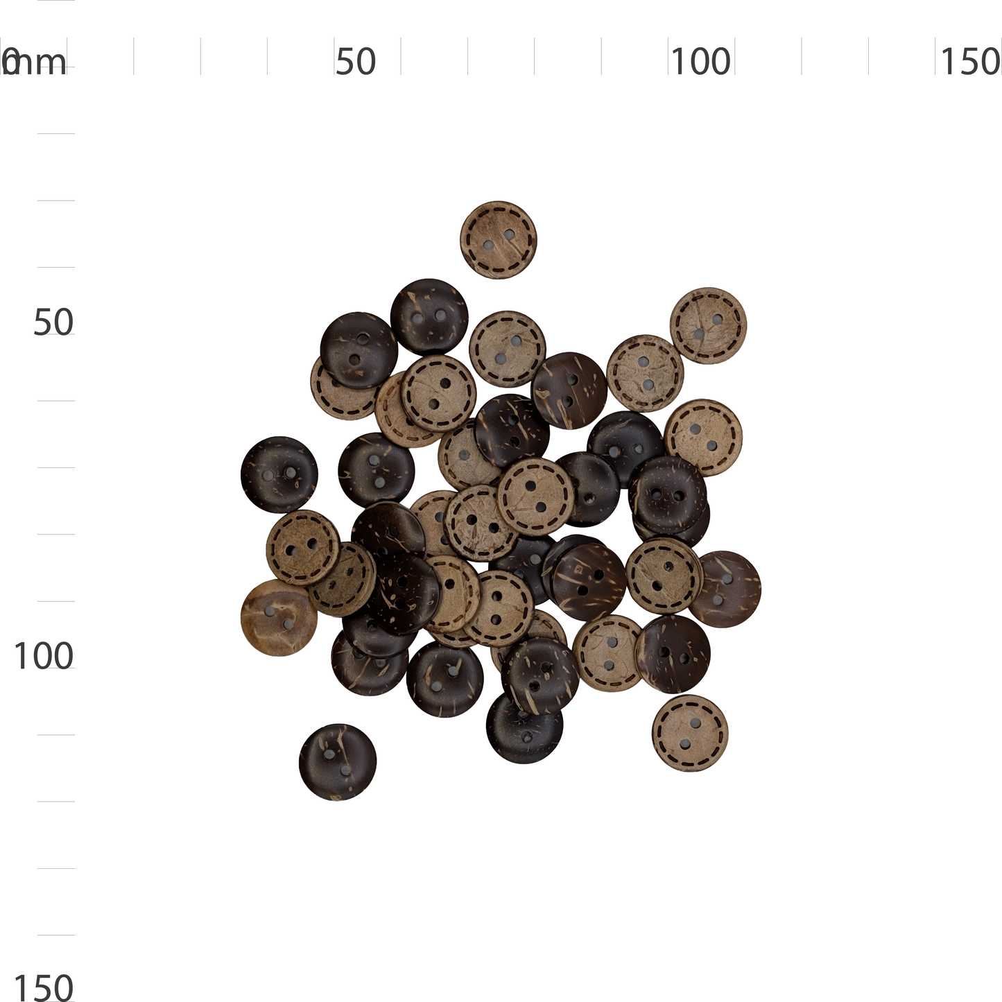 Medium Coconut Button