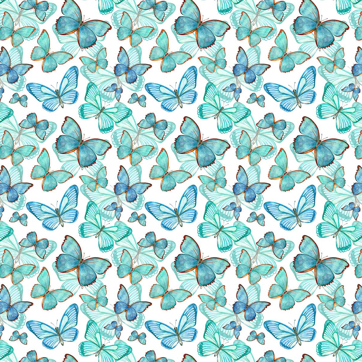 Papillon (CC455)