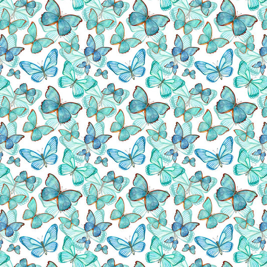 Papillon (CC455)