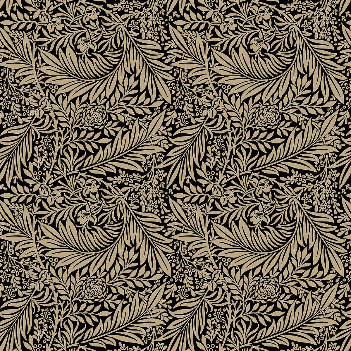 Larkspur Ebony (CC471)