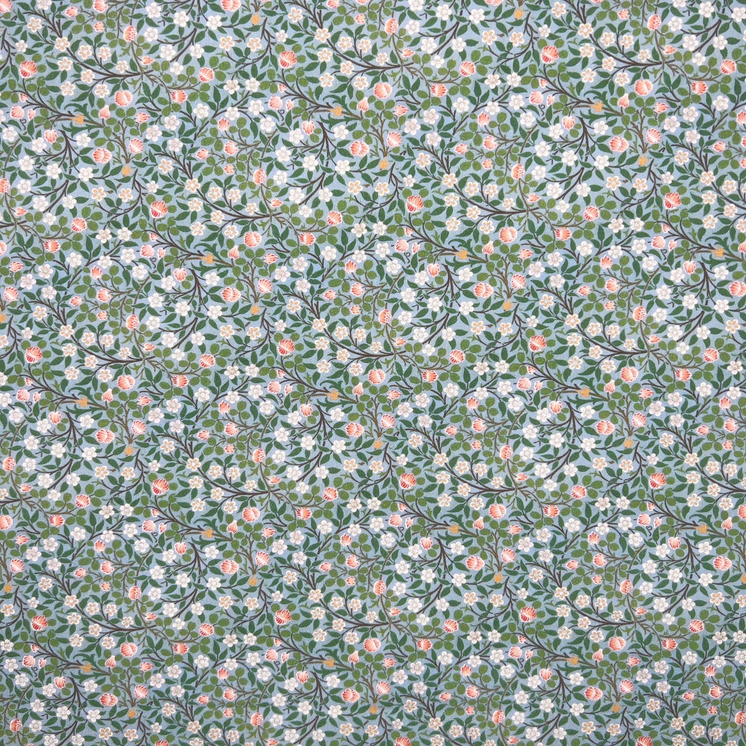 Clover (CPR008)