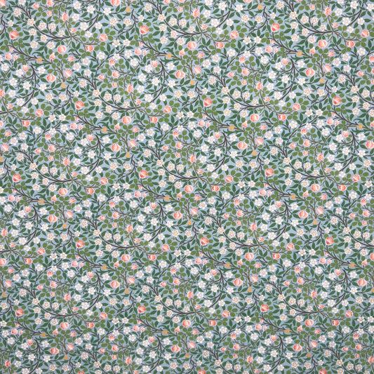 Clover (CPR008)