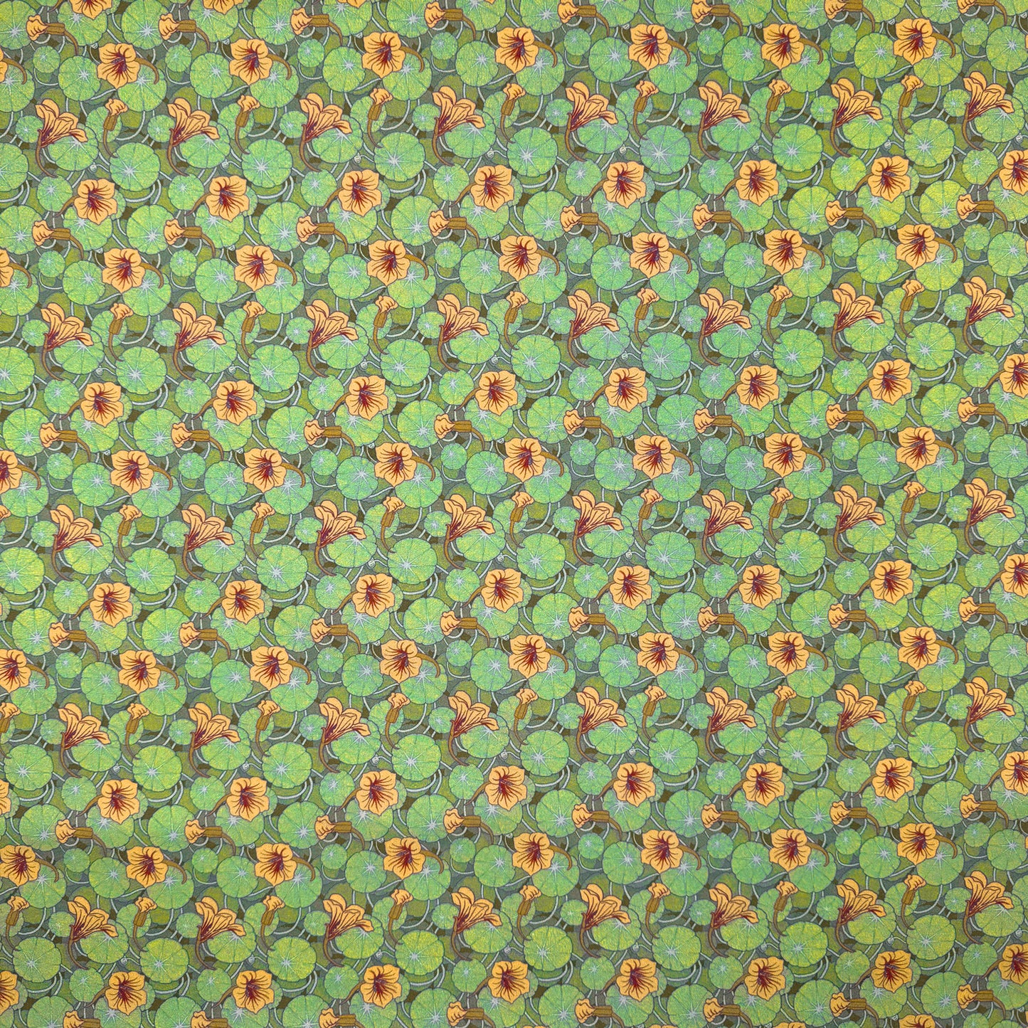 Maurice Pillard Verneuil - Nasturtium (CPR037)
