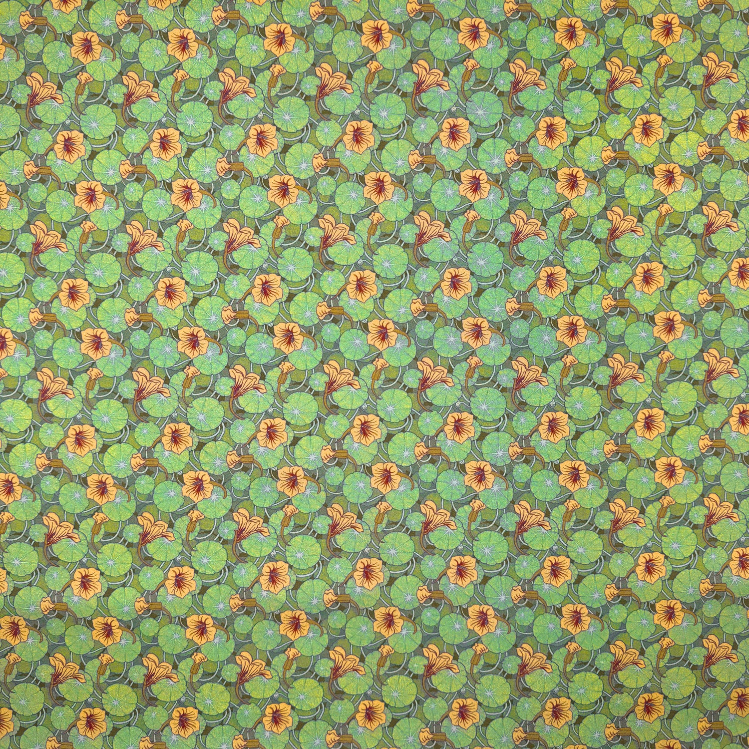 Maurice Pillard Verneuil - Nasturtium (CPR037)