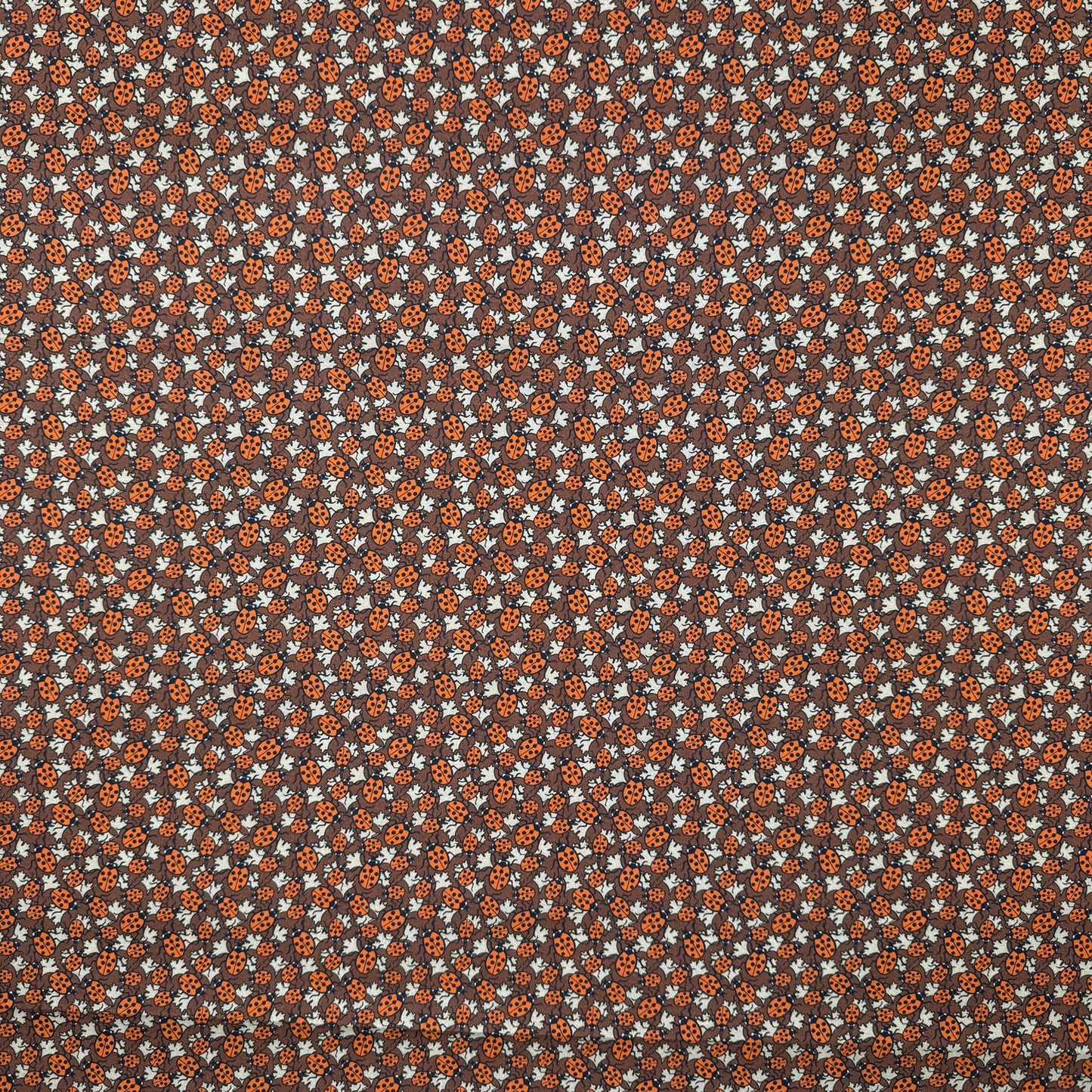 Maurice Pillard Verneuil - Ladybug (CPR050)