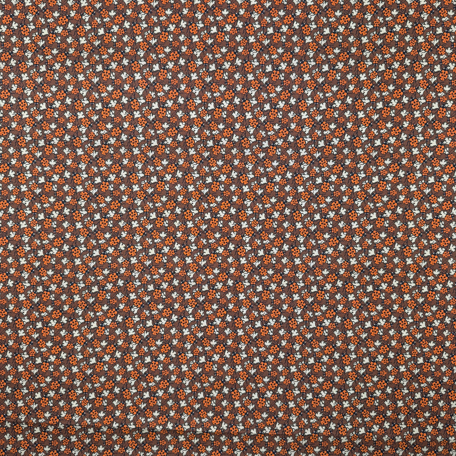 Maurice Pillard Verneuil - Ladybug (CPR050)