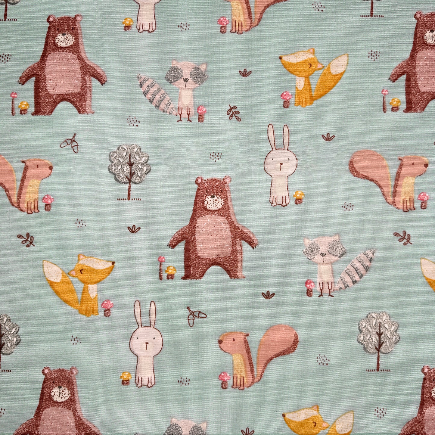 Crafty Canvas - Forest Friends Duckegg (CRC006)