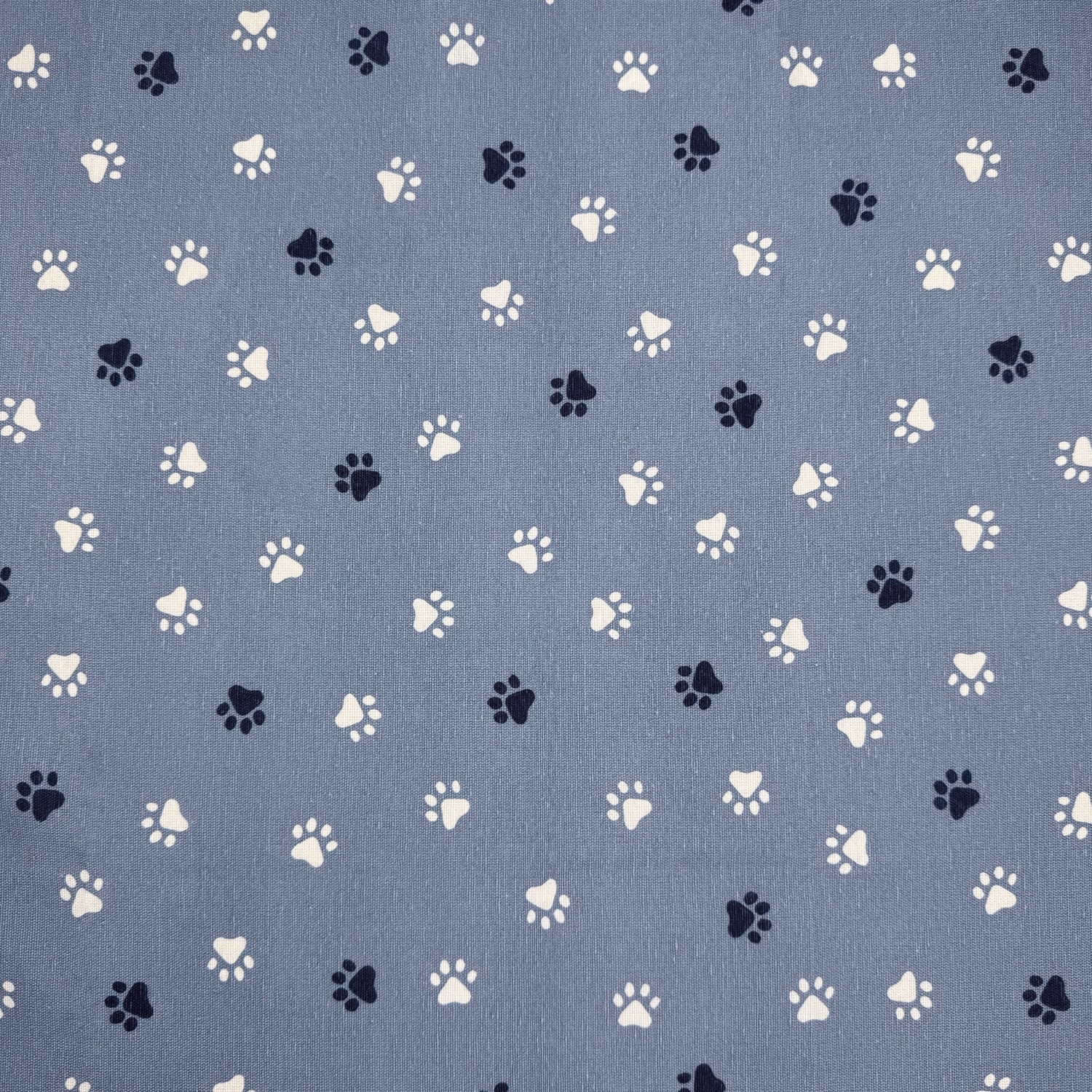 Crafty Canvas - Paw Print Blue (CRC011)
