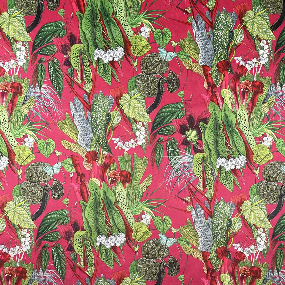 Exotic Cerise (CVL010)