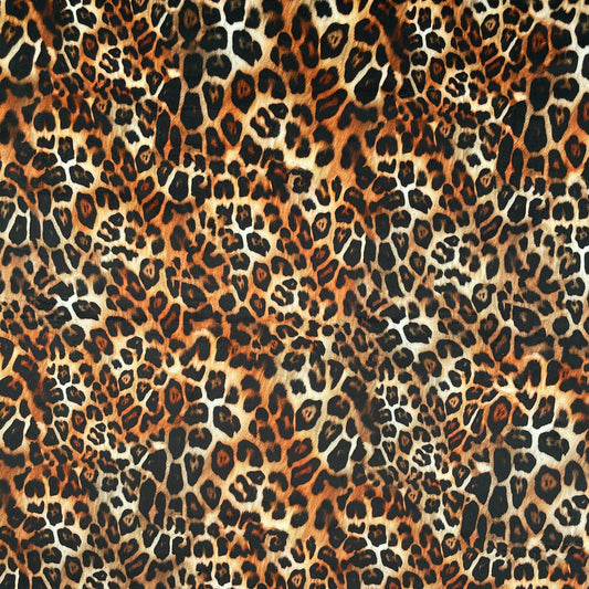 Kalahari (CVL025)