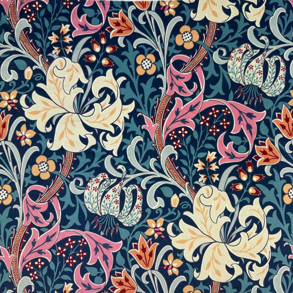 Golden Lily Tempest (CVL086)