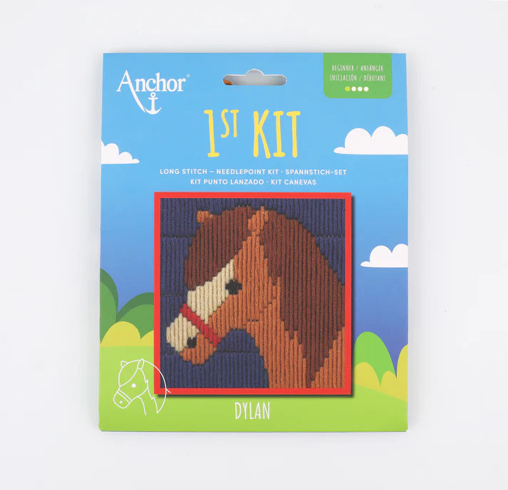 Anchor 1st Kit, Long Stitch, Dylan