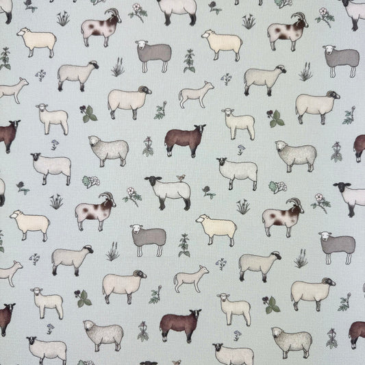 Wandering Wool Eggshell (ELD013)