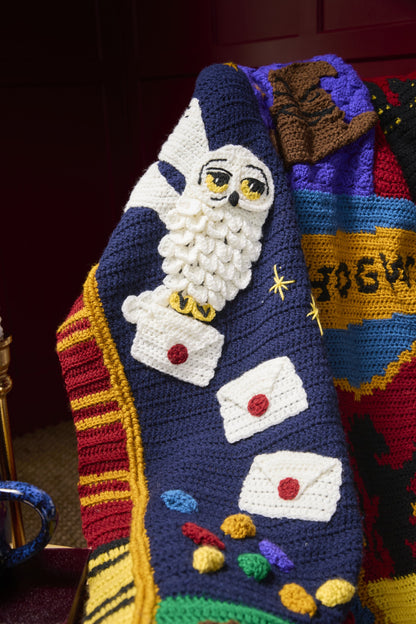 Close-up of the Harry Potter Crochet Along blanket: Hedwig panel with crocheted envelopes
