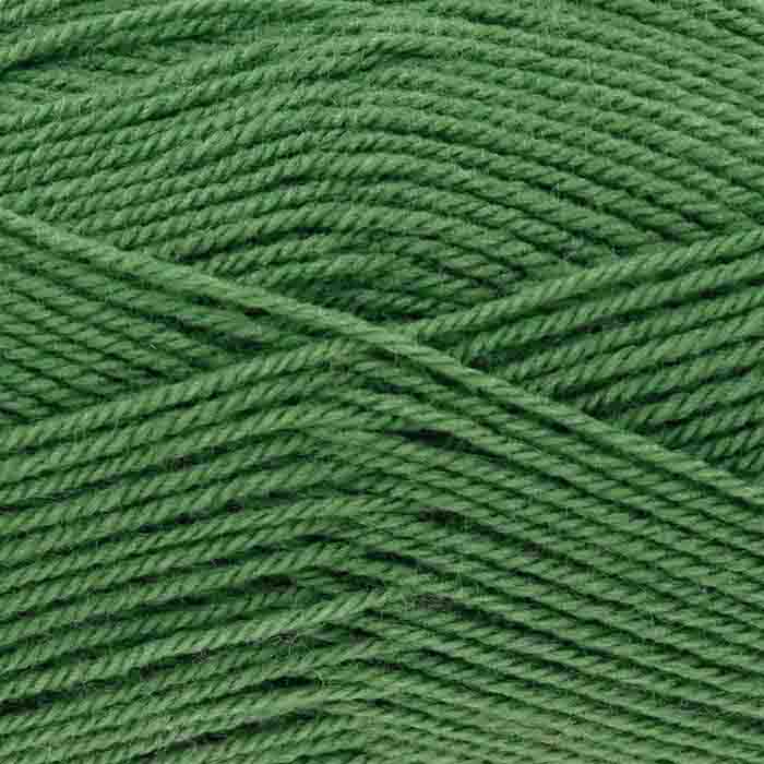 King Cole Pricewise DK - Forest