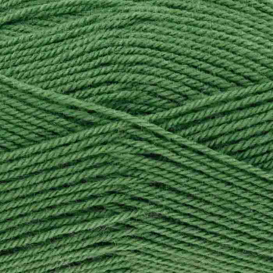 King Cole Pricewise DK - Forest