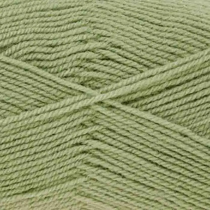 King Cole Pricewise DK - Parsley