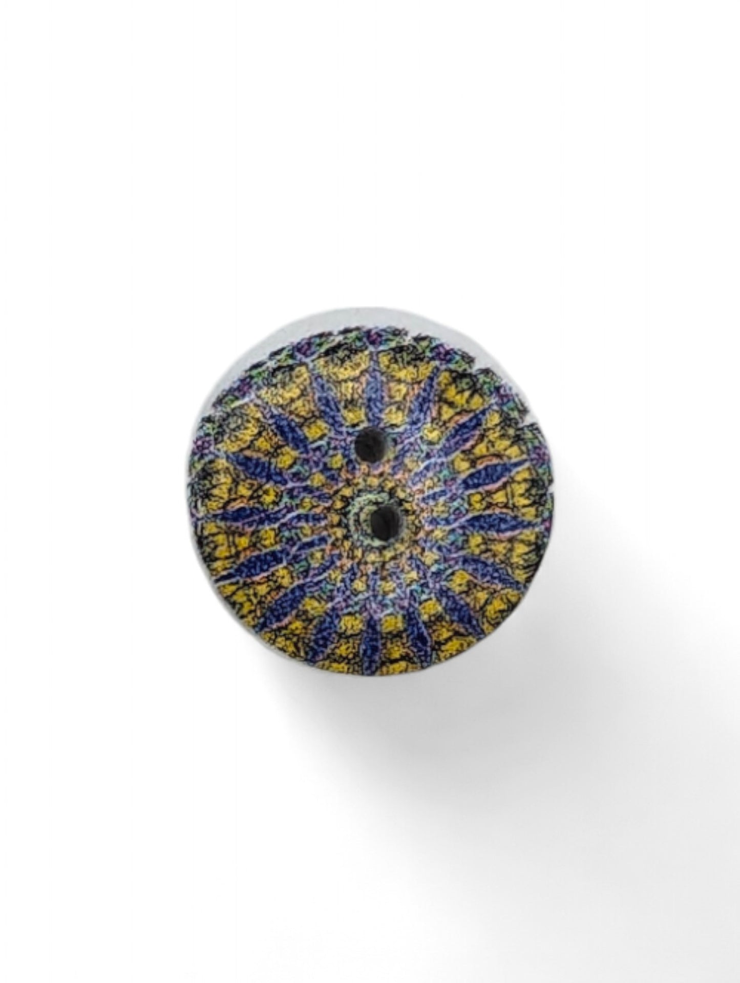 Craft button for sewing - close up detail