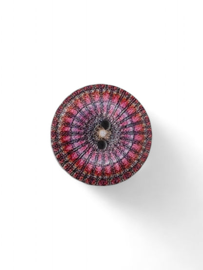 Craft button for sewing - scale reference